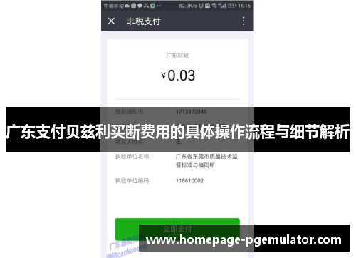 广东支付贝兹利买断费用的具体操作流程与细节解析