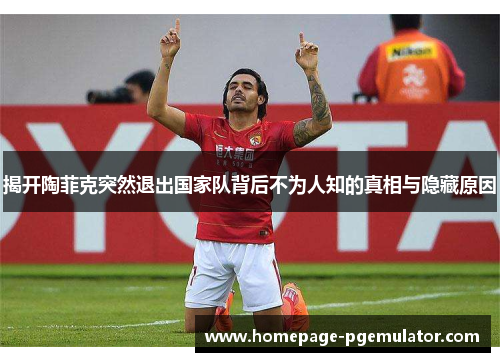 揭开陶菲克突然退出国家队背后不为人知的真相与隐藏原因