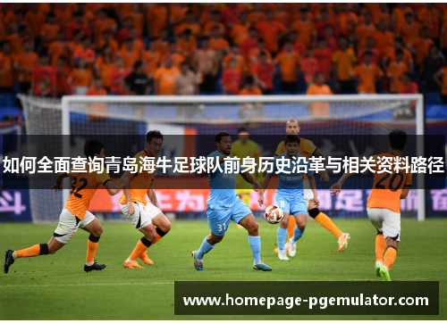 如何全面查询青岛海牛足球队前身历史沿革与相关资料路径