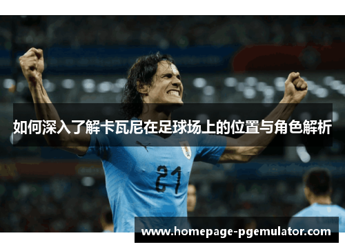 如何深入了解卡瓦尼在足球场上的位置与角色解析