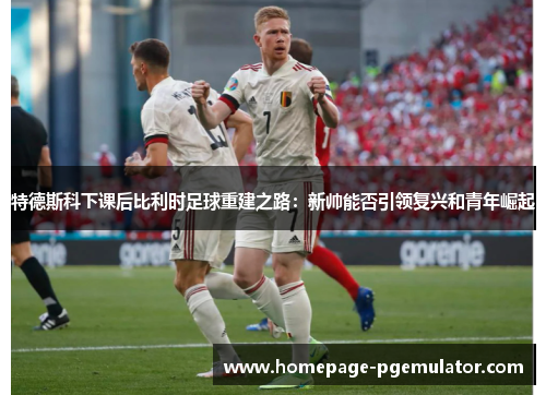特德斯科下课后比利时足球重建之路:新帅能否引领复兴和青年崛起 特德斯科下课后比利时足球重建之路:新帅能否引领复兴和青年崛起