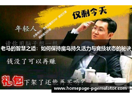 老马的智慧之道：如何保持魔鸟持久活力与竞技状态的秘诀