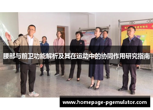 腰部与前卫功能解析及其在运动中的协同作用研究指南 腰部与前卫功能解析及其在运动中的协同作用研究指南