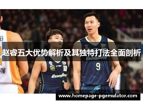 赵睿五大优势解析及其独特打法全面剖析