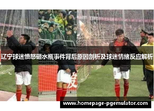 辽宁球迷愤怒砸水瓶事件背后原因剖析及球迷情绪反应解析