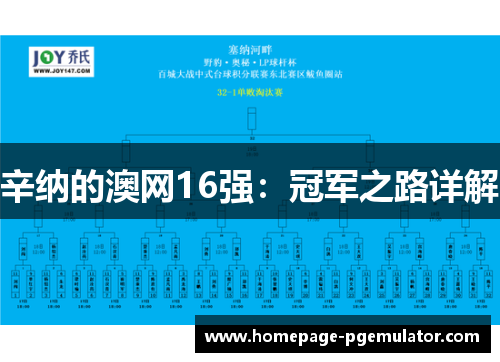 辛纳的澳网16强：冠军之路详解