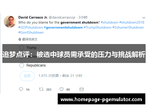 追梦点评：被选中球员需承受的压力与挑战解析