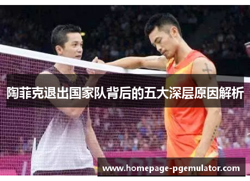 陶菲克退出国家队背后的五大深层原因解析 陶菲克退出国家队背后的五大深层原因解析