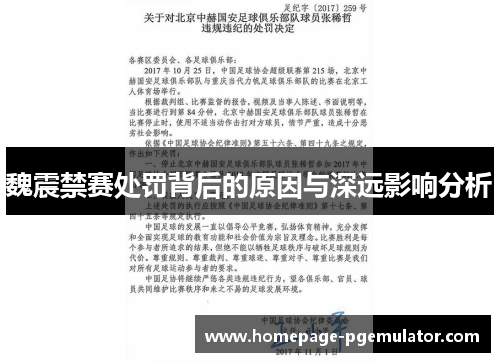 魏震禁赛处罚背后的原因与深远影响分析
