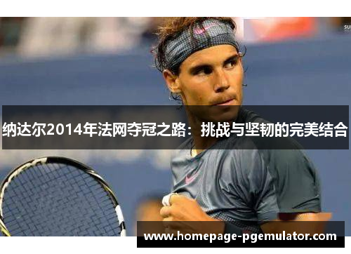纳达尔2014年法网夺冠之路：挑战与坚韧的完美结合