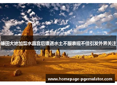 镰田大地加盟水晶宫后遭遇水土不服表现不佳引发外界关注 镰田大地加盟水晶宫后遭遇水土不服表现不佳引发外界关注