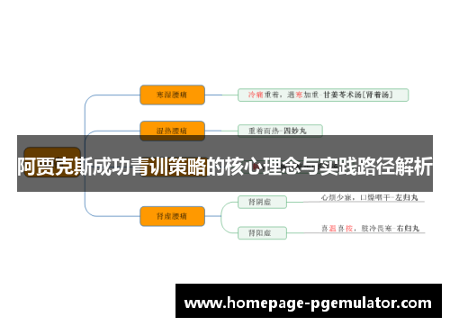 阿贾克斯成功青训策略的核心理念与实践路径解析 阿贾克斯成功青训策略的核心理念与实践路径解析