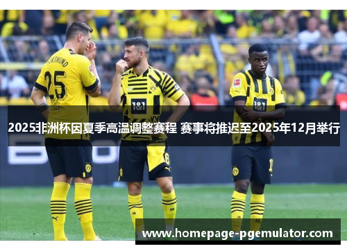 2025非洲杯因夏季高温调整赛程 赛事将推迟至2025年12月举行