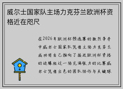 威尔士国家队主场力克芬兰欧洲杯资格近在咫尺